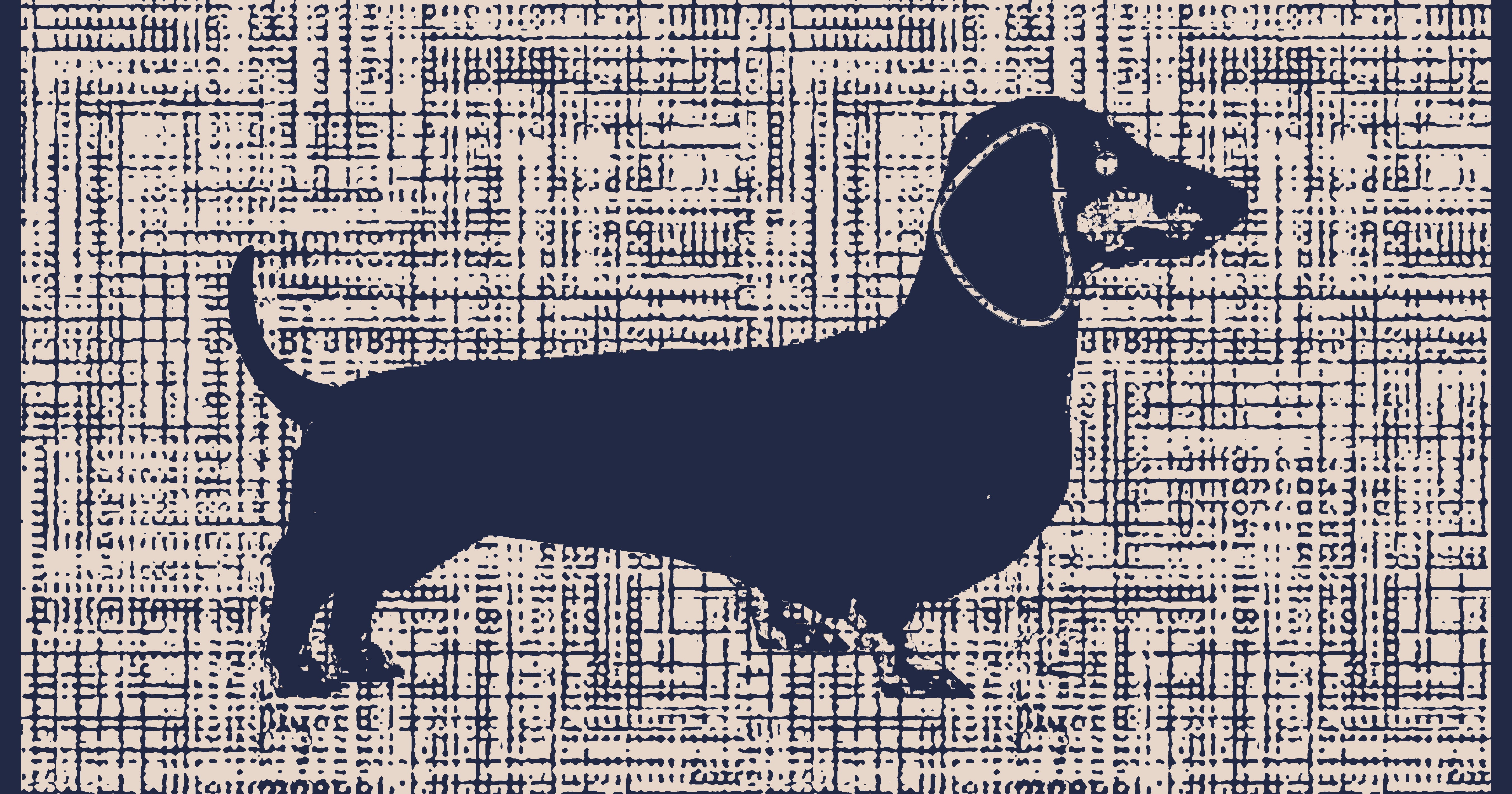 Premium Badetuch - Mit edlem Dachshund Design - Vielseitig, Nachhaltig, Saugstark & Schnelltrocknend - 100% Baumwolle