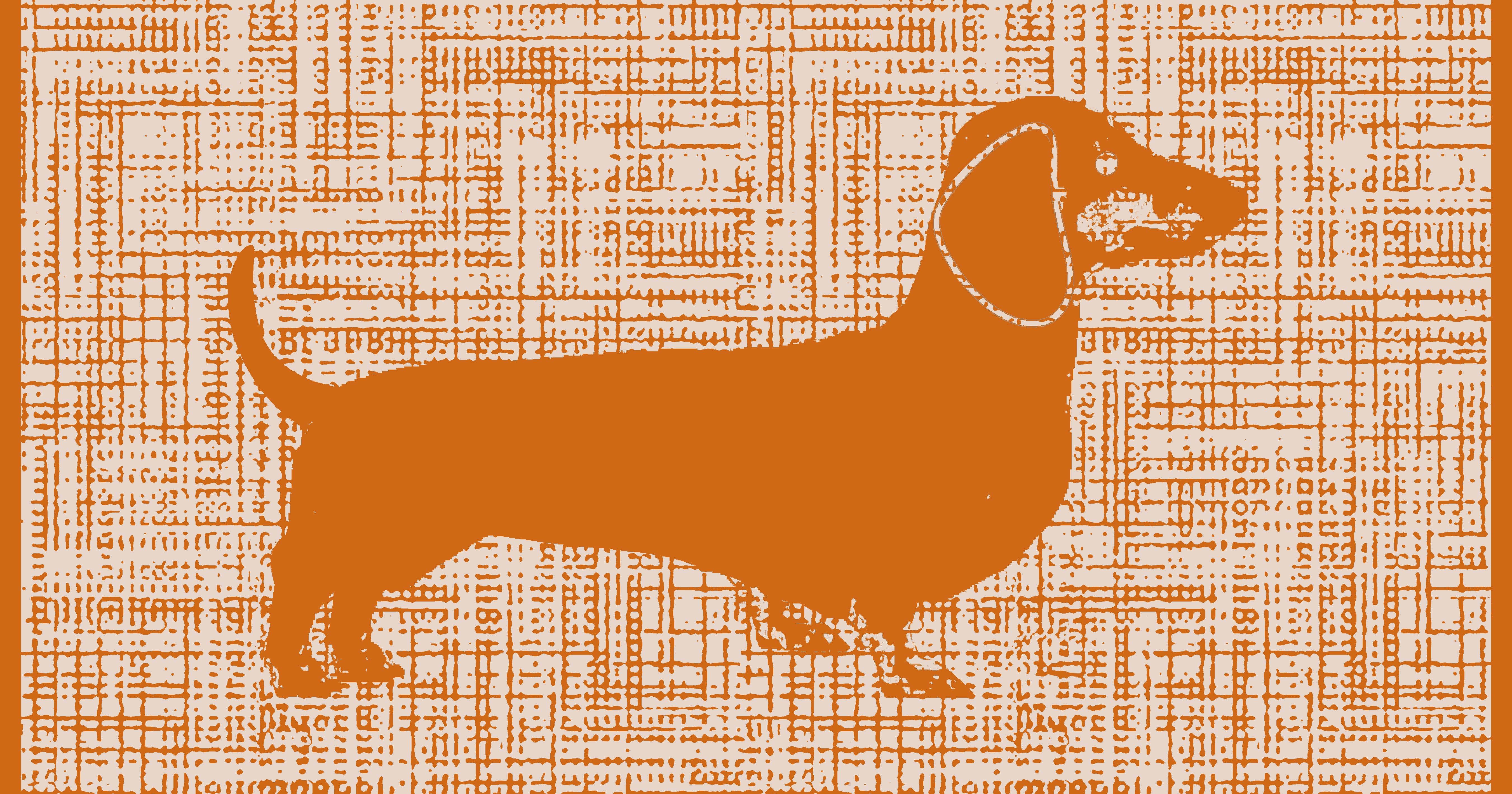 Premium Badetuch - Mit edlem Dachshund Design - Vielseitig, Nachhaltig, Saugstark & Schnelltrocknend - 100% Baumwolle