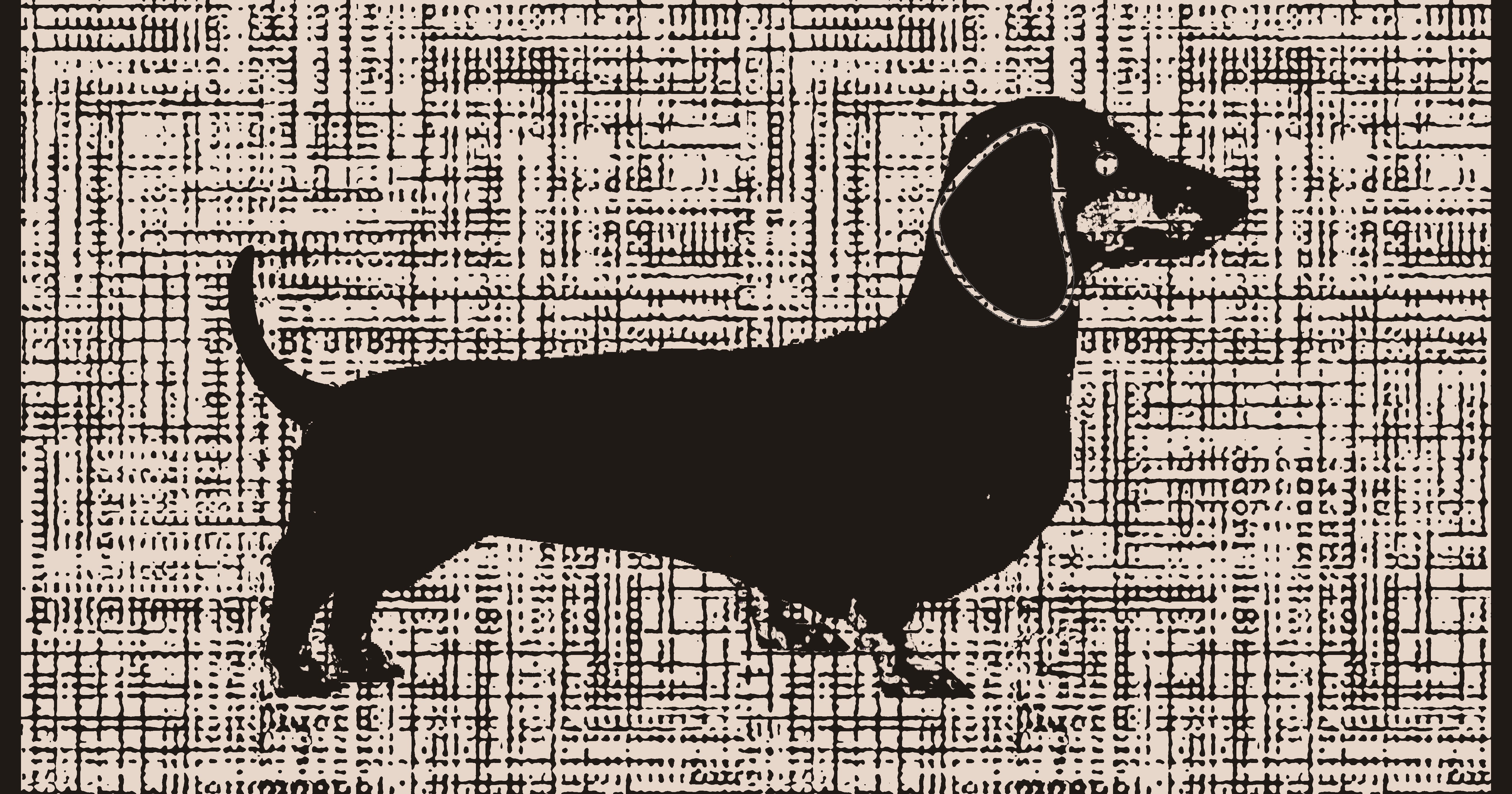 Premium Badetuch -  Mit edlem Dachshund Design - Vielseitig, Nachhaltig, Saugstark & Schnelltrocknend - 100% Baumwolle