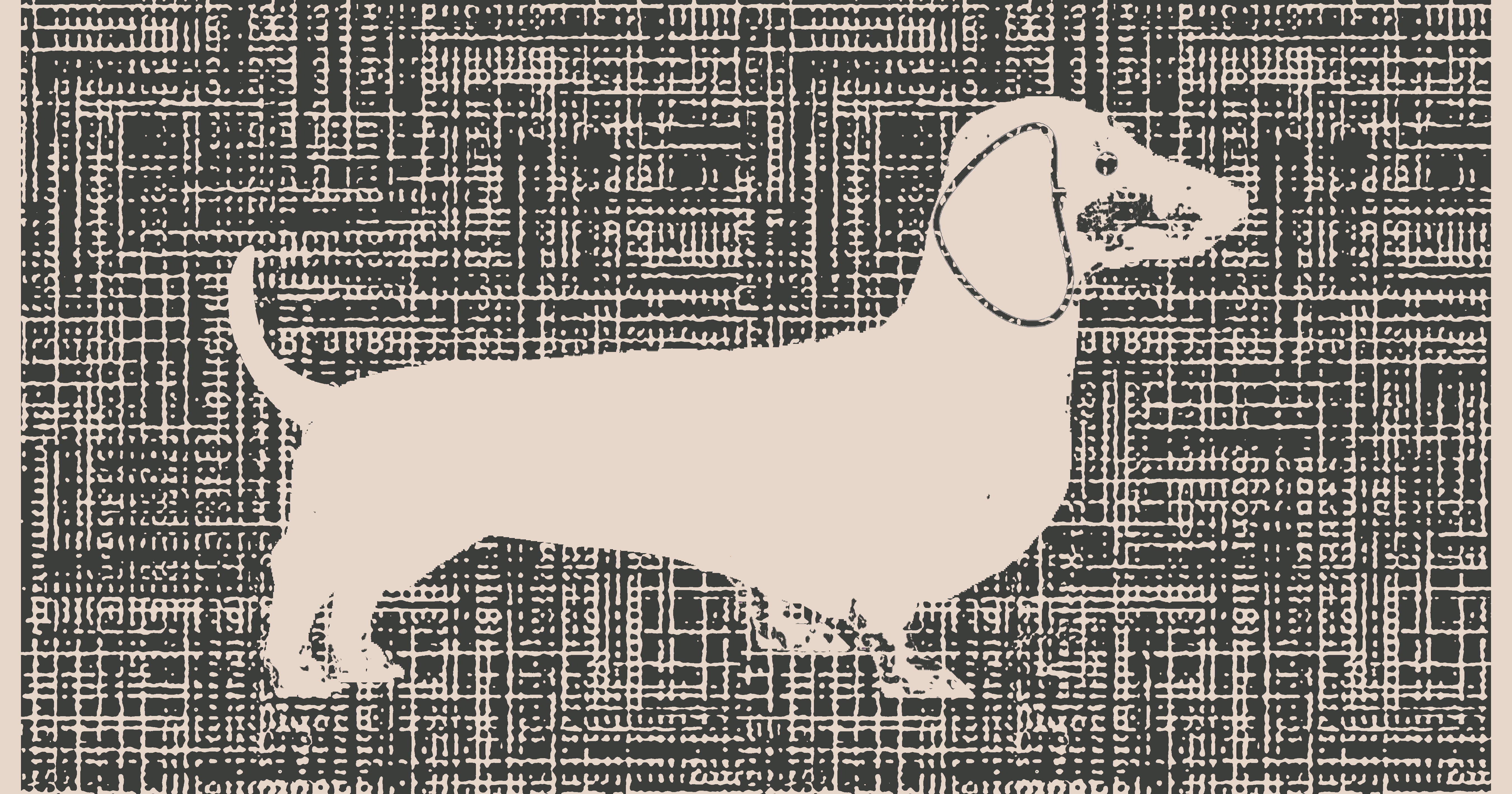 Premium Badetuch -  Mit edlem Dachshund Design - Vielseitig, Nachhaltig, Saugstark & Schnelltrocknend - 100% Baumwolle