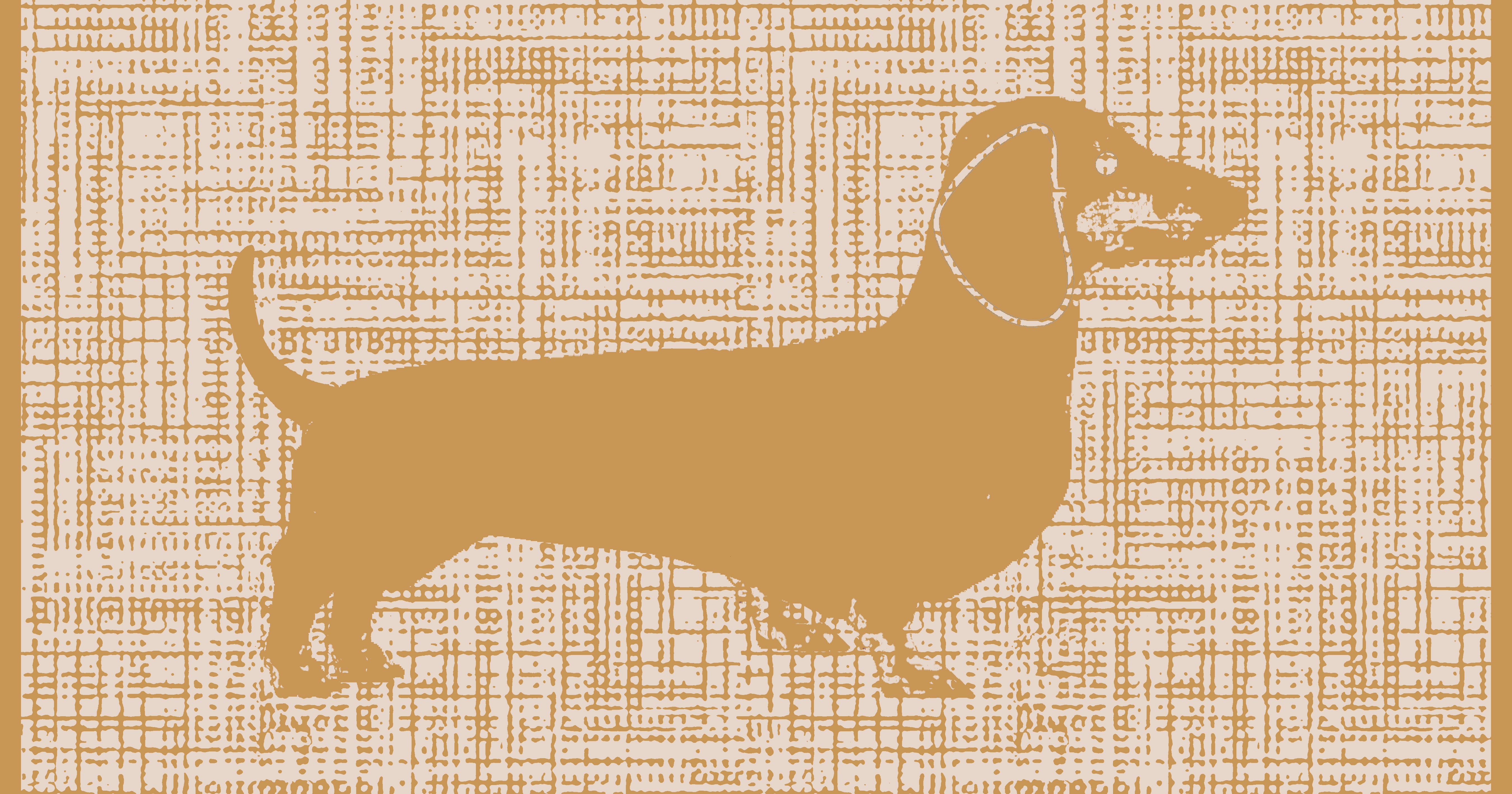 Premium Badetuch -  Mit edlem Dachshund Design - Vielseitig, Nachhaltig, Saugstark & Schnelltrocknend - 100% Baumwolle